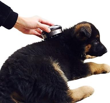 CHENRUI Portable Electric Pet Massager for Pets Dogs Cats
