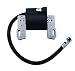 Everest Brand Ignition Coil Compatible w/Briggs & Stratton 690248 715231 795315 799650 Armature Magneto primary