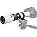 Vivitar 500mm f/8.0 Telephoto Lens (T Mount) (White)