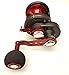 Daiwa STTLD40HSH Saltist Lever Drag Hyperspeed Reel