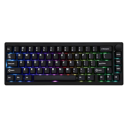 Sparfüchse aufgepasst! Diesen Preis von 88,79€ für EPOMAKER P65 QMK/VIA Kabellose... solltest du dir ansehen. Dein Deal wartet schon!