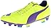 PUMA Men's evoPOWER 2 Firm Ground Soccer Shoe