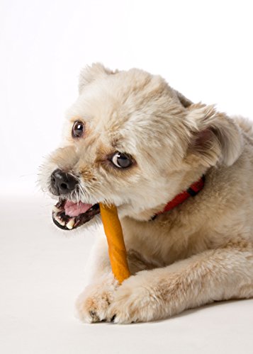Hartz Oinkies Dog Treats - Image 3