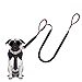 Octooboo Dog Leash, Heavy Duty Pet Leash Large Dog 6 feet Long with Padded Handles for Training and Running, Dual Handle Dog Leash Bungee with Reflective Stitching, Perfect for Medium and Large Dogs