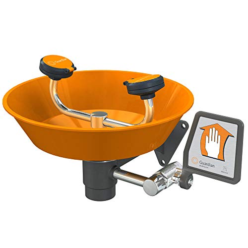 Guardian Equipment Eyewash Station, Wall MNT, Plastic, 15-1/2W