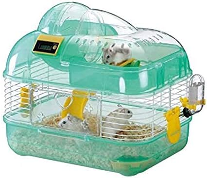 shih tzu and dachshund