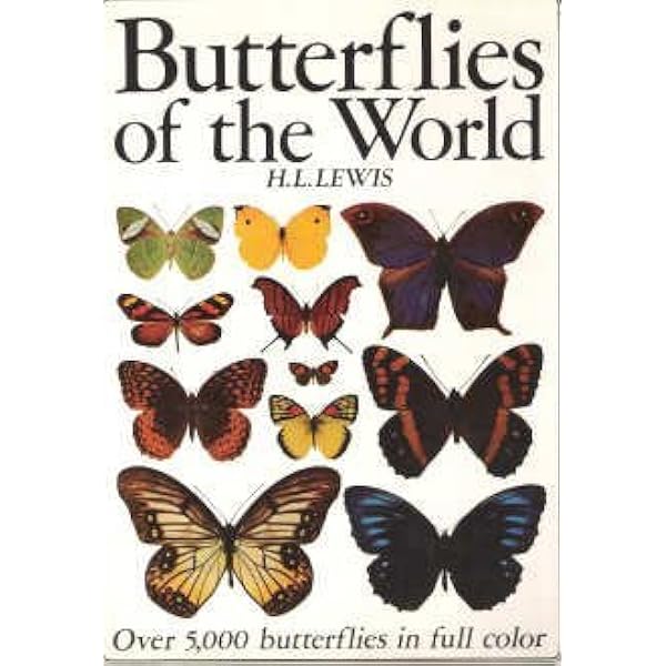 洋書 Adrian Hoskins 1,000 Butterflies Butterflies of the World: Hoskins, Adrian: 9781921517334