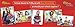 New Generation - Wild Life - 2 Pocket Folders/Portfolio 6 Pack Letter Size with 3 Hole Punch to use with Your Binder Heavy Duty Glossy Finish UV Laminated Folder - Assorted 6 Fashion Design (6 Pack)