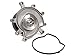 Evergreen TKTCS5037NGWP 02-11 Jeep Dodge Mitsubishi 3.7L Timing Chain Kit Water Pump (without Gears) Timing Cover Gasket