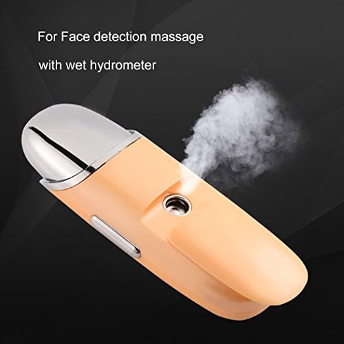 Nano Facial Steamer, Yuedaer Handheld Facial Mist Spray Atomization Humidifier Face Sprayer Facial Mist Sprayer