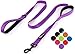 Primal Pet Gear Dog Leash 6ft Long,Traffic Padded Two Handle,Heavy Duty,Reflective Double Handles Lead for Control Safety Training,Leashes for Large Dogs or Medium Dogs,Dual Handles Leads(Purple)