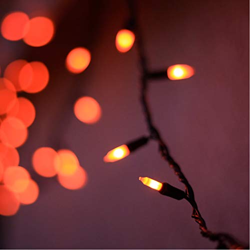 HAYATA ⭐️Halloween String Lights 24ft 100 Incandescent Orange Mini Bulbs Lights, Halloween Lighting Decor for Outdoor and Indoor Use, Fairy Garden, Yard, Home, Party, Holiday, Halloween Decorations - Thumbnail 5