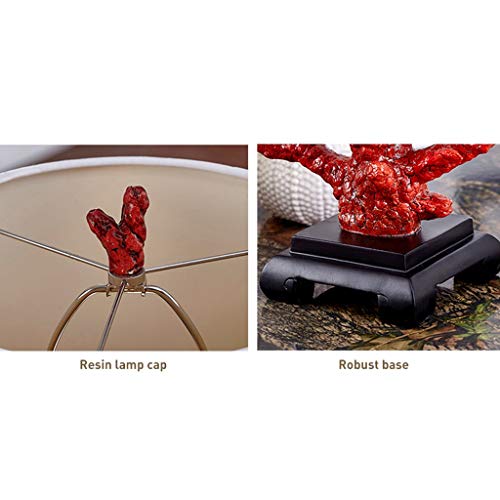 419Y7sDg0EL 419Y7sDg0EL