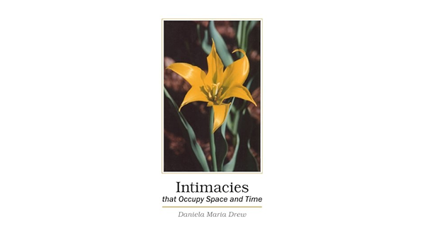 Intimacies That Occupy Space And Time Drew Daniela Amazon Com Books