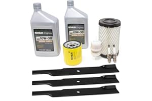 The Mower Shop 54" Raptor SD Tune-up Kit (with Air Filter 606475)