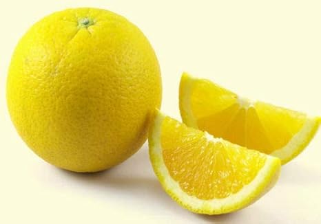 Coconut Lagoon Live Sweet Mosambi Citrus Limetta Plant (1 Healthy ...