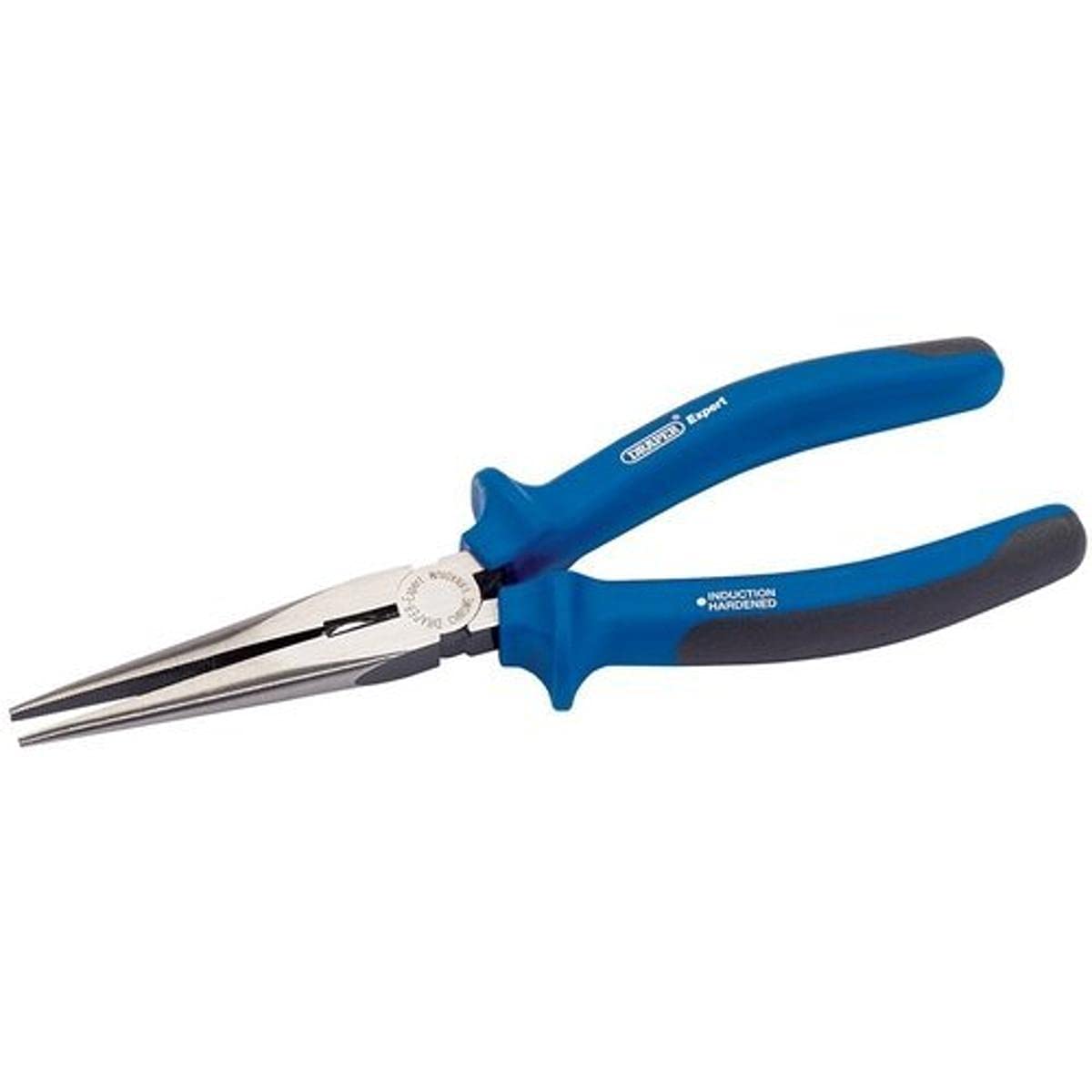 Draper Expert 68888 200 mm Long-Nosed Radio Pliers,Blue