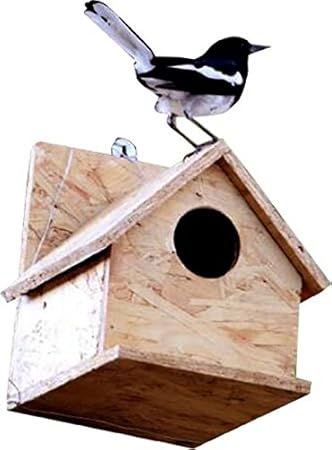 Amijivdaya Robin Bird Home Yellow Amazon In Pet Supplies