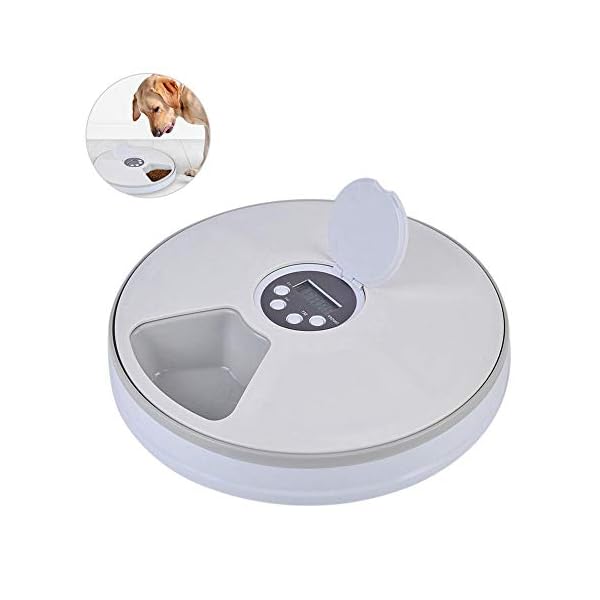 Timed Cat Feeder Auoker Intelligent Automatic Cat Feeder With