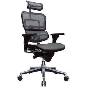 Eurotech Seating Ergohuman High Back Mesh Managers Chair, Grey