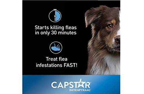 nitenpyram flea killer