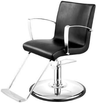 SALLY Barber Chair Styling salon beauty equipment