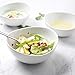 Sweese 103.000 Porcelain Bowl - 28 Ounce for Cereal, Salad and Desserts - Set of 1, White