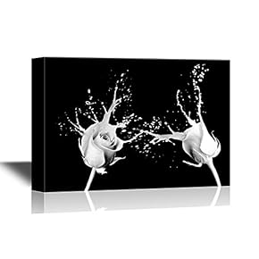 Black and White Rose with Water Splash