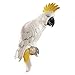 Design Toscano QL119618 Citron Cockatoo Bird Tropical Decor Wall Sculpture, 14 Inch, Polyresin, Full Color, 9.00