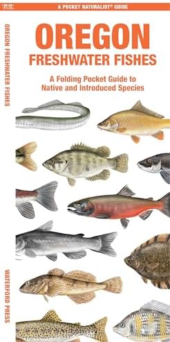 Freshwater Fishes of the Pacific Northwest: Craig Springer