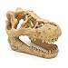 Mrli Pet Fish Tank Decorative Aquarium Decorations Reptile Hide Turtle Basking Platform Emulational Dinosaur Skelecton Head Bone Skull Resin Ornament (Dinosaur Skull)