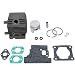 SPERTEK Cylinder & Piston Kit + Gasket Kit for Stihl FS75 FS80 FS85 34mm (W/2 Oil Seals) primary