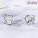Jeulia Classic Round Cut Sterling Silver Stud Earrings Round Clear CZ Jewelry Women's Stud Earrings Cubic Zirconia Gift for Women Love Party Jewelry Valentine'S Day,Women'S Day Gift For Ears