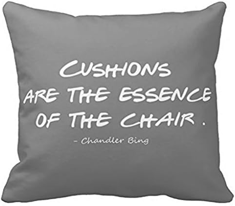 Zometiceds Tv Show Friends Quote 20x20 inches Pillow Case Chandler Bing Pillow Cover Home Decorative