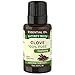 Nature's Truth Clove Essential Oil | 15 mL | for Diffuser, Aromatherapy, and DIY Projects | Pure Plant Based, Non-GMO & Gluten Free