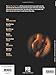 Acoustic Guitar Play-Along Volume 2 Book/Online Audio