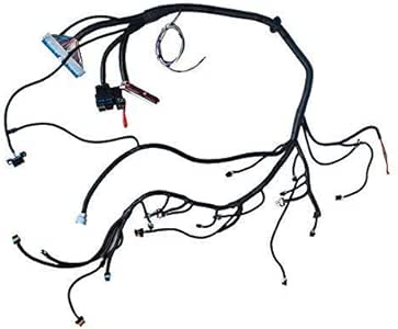 Amazon.com: Standalone Wiring Harness fit for 99-03 LS1 Vortec
