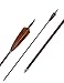 PANDARUS Archery 31-Inch Carbon Hunting Arrows, 4-Inch Turkey Feather Fletching with Replaceable Points, Targeting Practice Arrows Spine 500 for Recurve & Traditional Bows