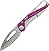 Buck Knives 0818PPS APEX Purple Folding Knife with Carabiner Clip