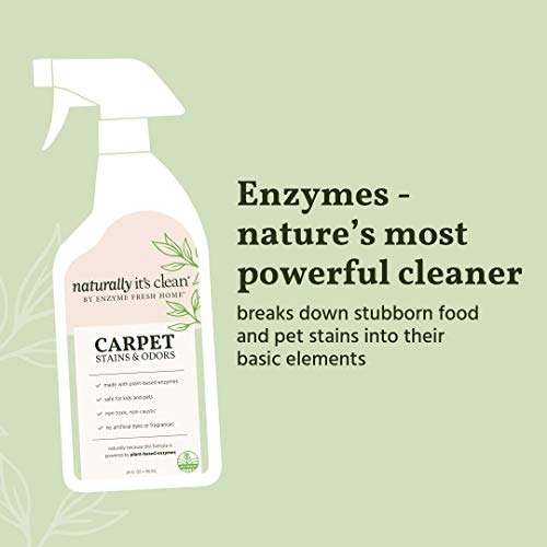 2 Naturally+Its+Clean+Spot+Treat+deodorizes