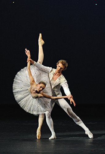 El Ballet Bolxoi A Santiago De Xile: Una Trobada Personal Amb Els Membres Del Ballet Bolshoi (Catalan Edition)