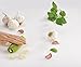Joseph Joseph Scroll Silicone Garlic Peeler, Green
