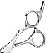 Hair Scissors, Itery Hair Cutting Scissors Shears Hairdressing Thinning Scissors Beauty Grooming Tools (Thinning Scissors)