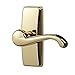 Ideal Security Door Lever for Storm and Screen Doors, Bright Brass (2-Piece Set)