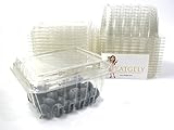Katgely Vented Pint Plastic Berry Containers for Grape Tomatoes & Blueberries (Pack of 50)
