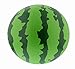 Giant Watermelon Pool Beach Ball Fun Pool Toys Floats Summer Party 16 Inches