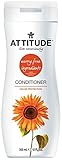 ATTITUDE Color Protection Conditioner, 12 Fluid Ounce