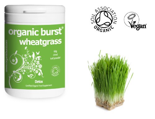 Organic Burst Wheatgrass 60g Buy Online In UAE Hpc Products In 