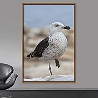 Framed Canvas Wall Art Single Bird Birds Expressive Farmhouse/Country Multicolor Photography Portrait Single - 16x24 inches