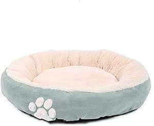 cvs dog beds